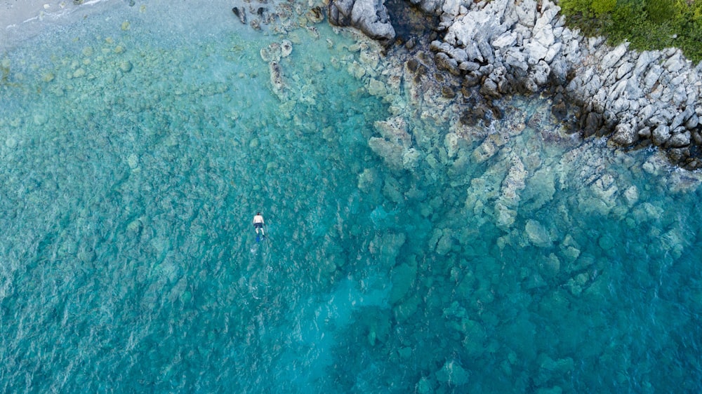 Personas nadando en el mar durante el día