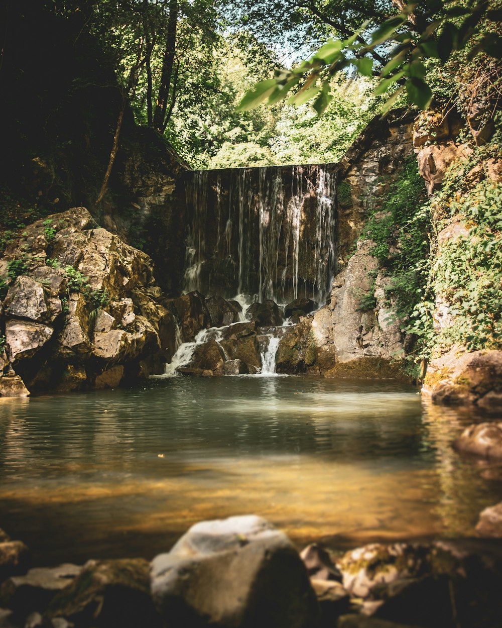 water falls between green trees during daytime