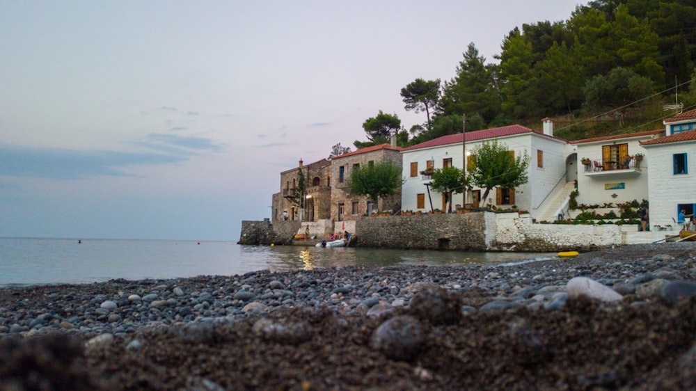 white and brown concrete building near body of water during daytime