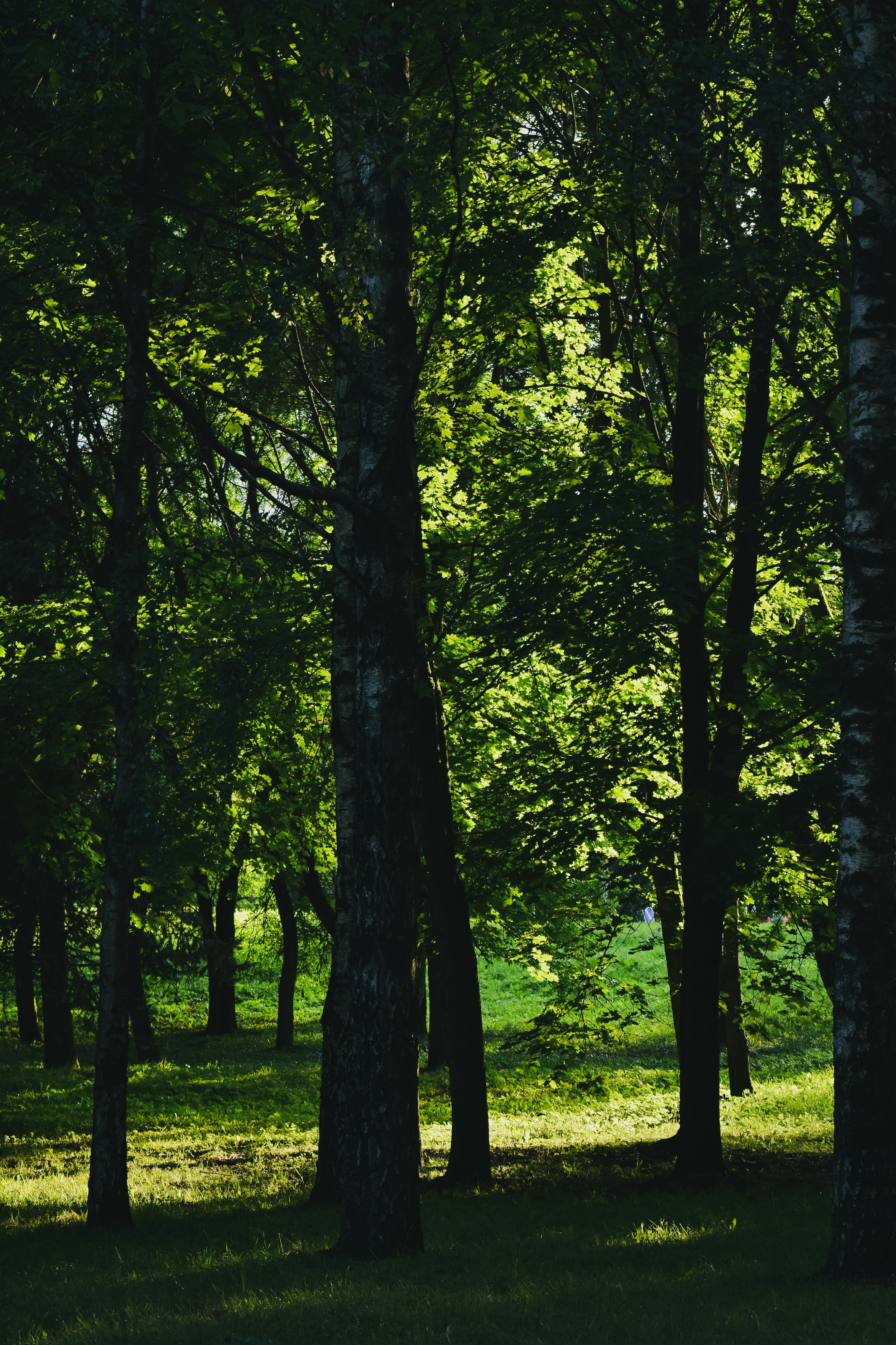 Photo by artem_makarov