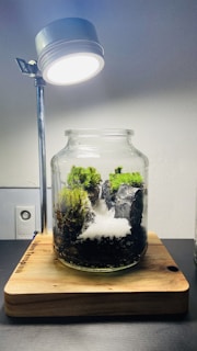 A glass jar containing a miniature landscape with moss, rocks, and a small waterfall. The scene is illuminated by a lamp positioned above the jar, and it's placed on a wooden base. The background is a simple, plain wall.