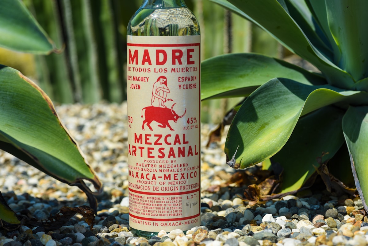 A bottle of Madre Mezcal Artesanal, labeled Espadín y Cuishe, from Oaxaca, Mexico, photographed among agave leaves and river stones