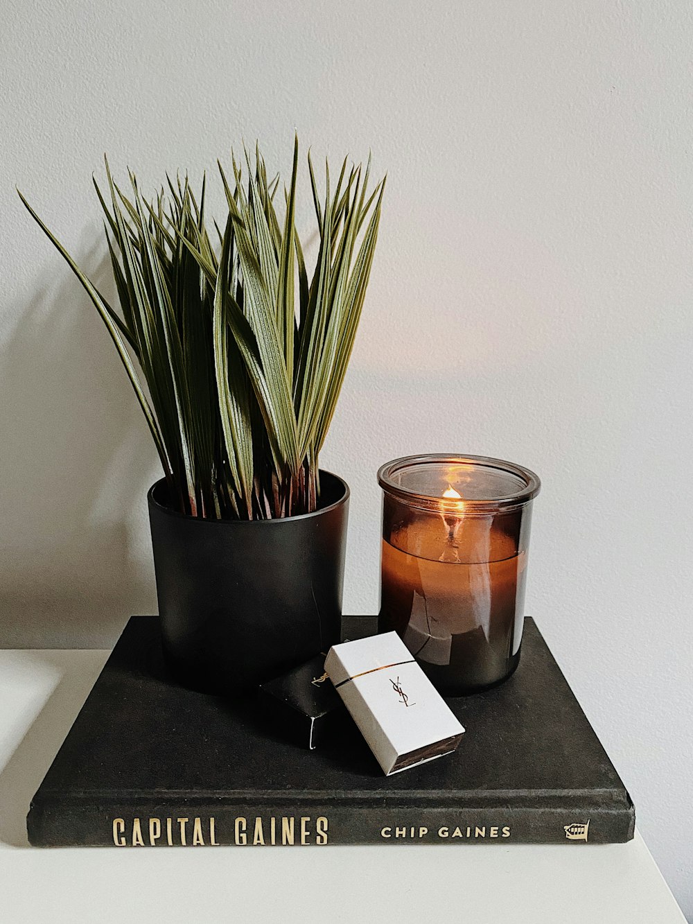 green plant in black pot