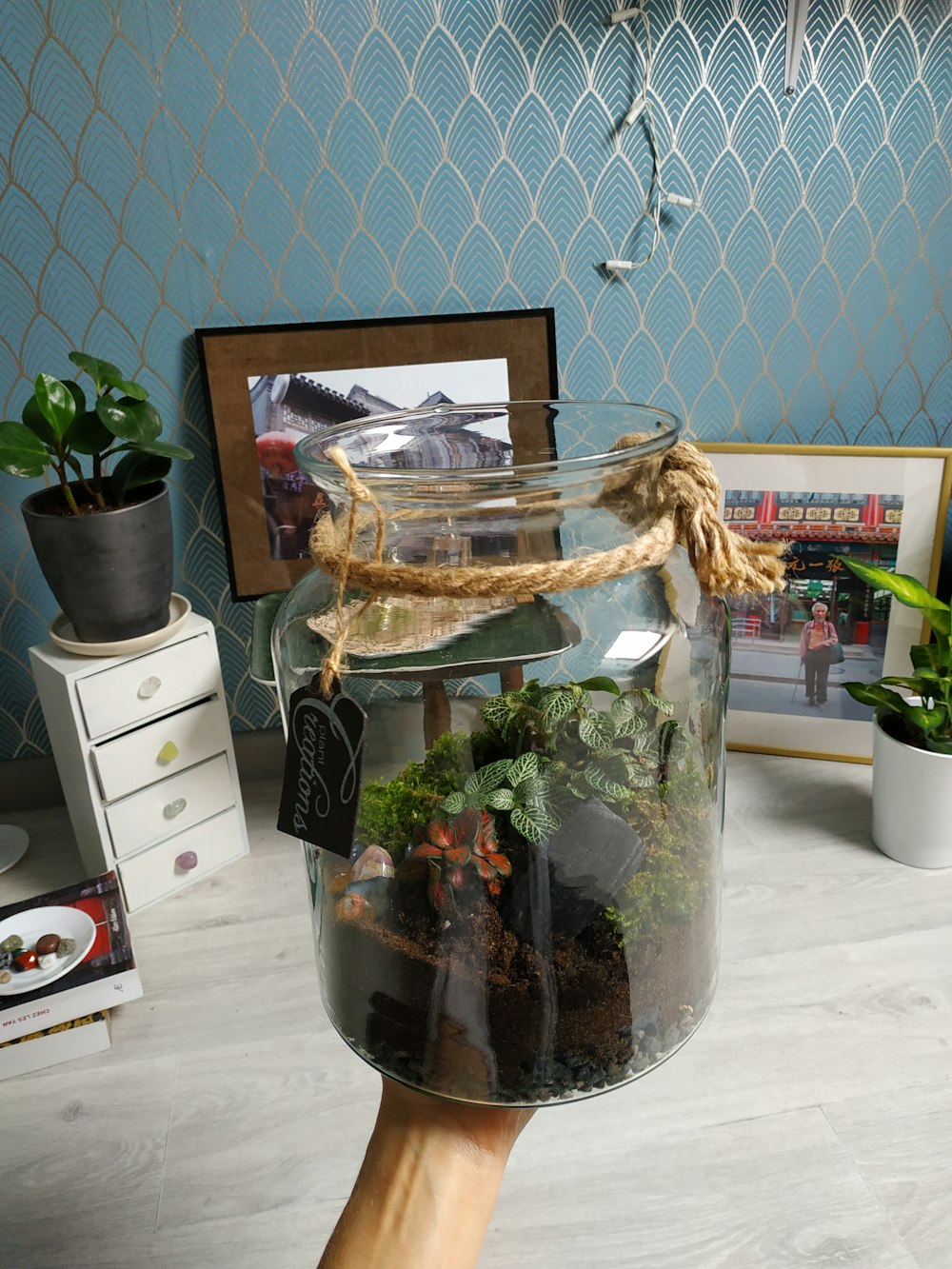 clear glass fish bowl with green plants