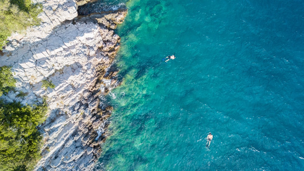 aerial view of people swimming on sea during daytime