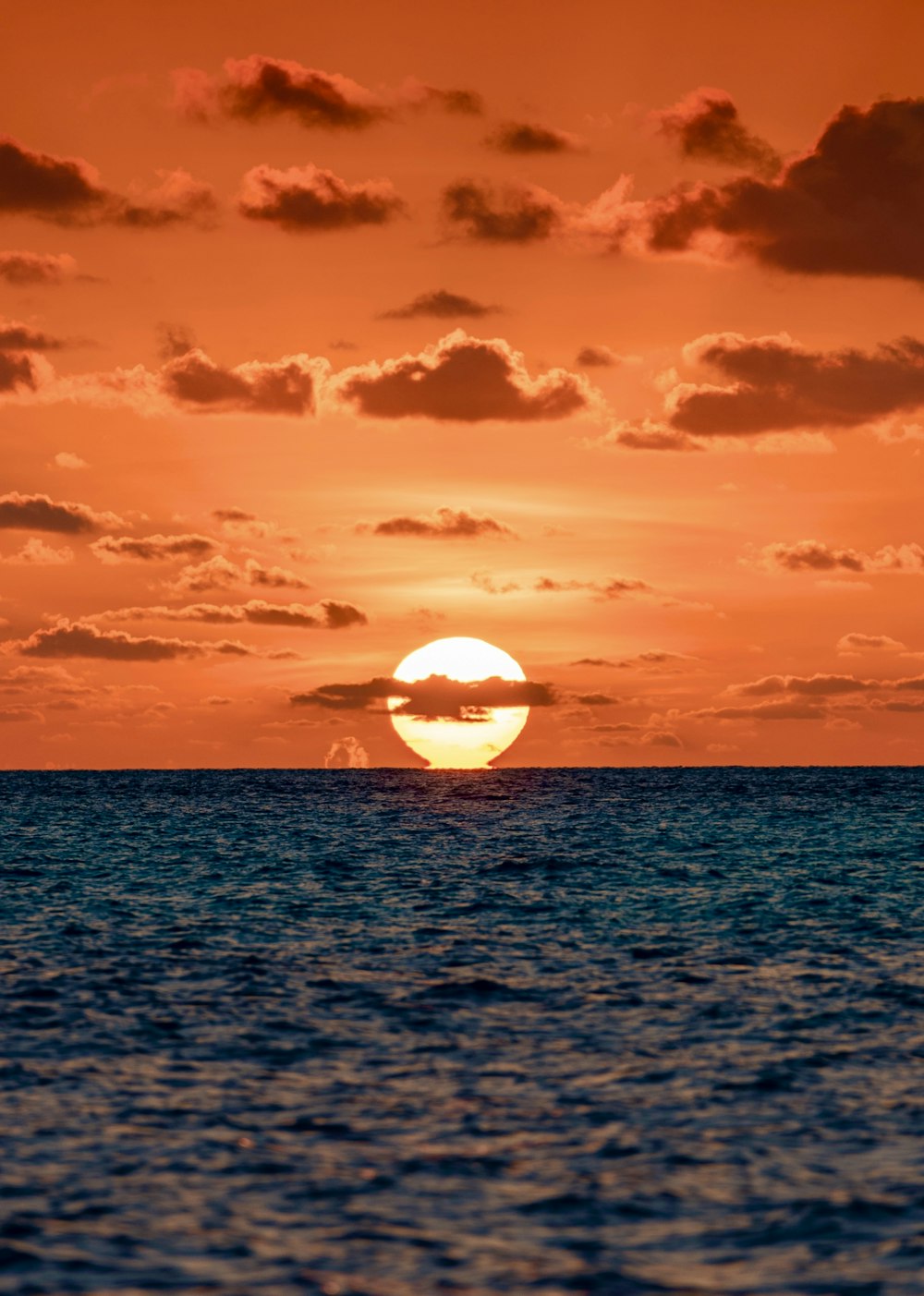 silhouette of man on sea under blue sky during daytime