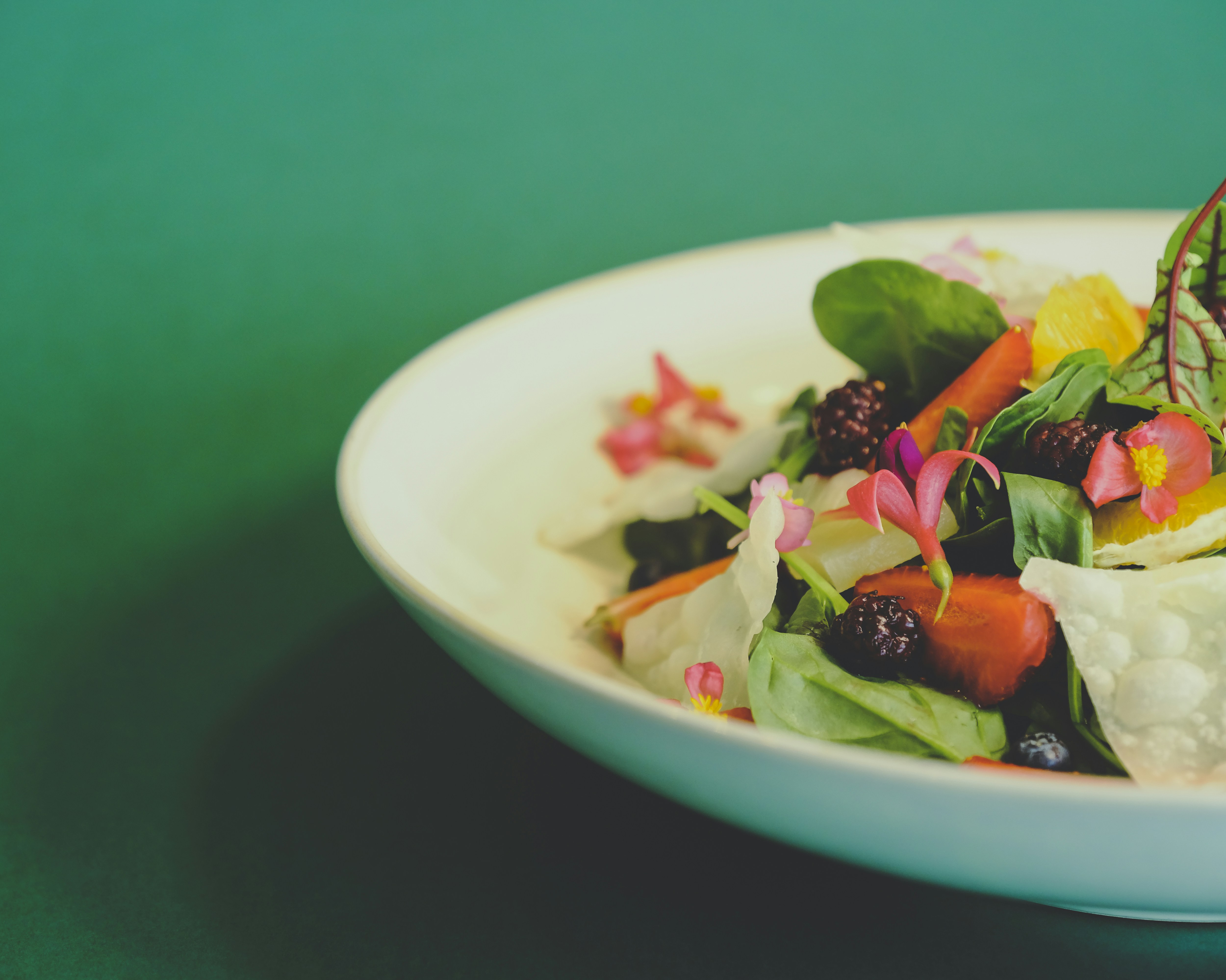 Photo by sammoghadam