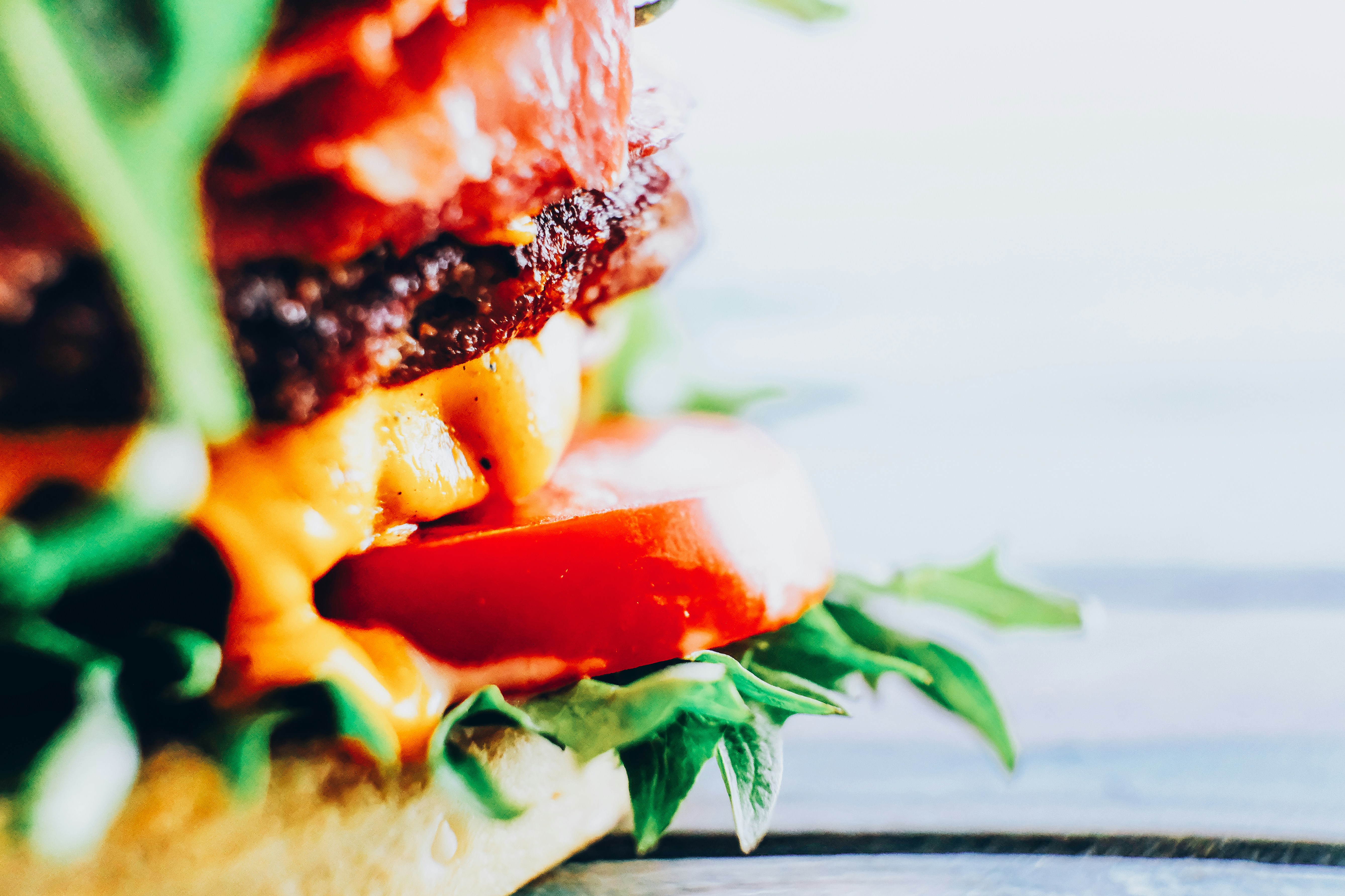 Photo by sammoghadam