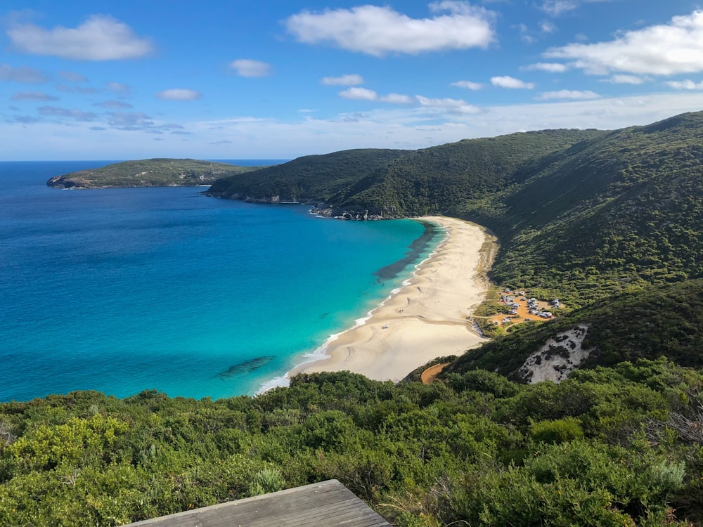 árvores verdes perto do mar azul sob o céu azul durante o dia