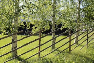 brown wooden fence near green trees during daytime