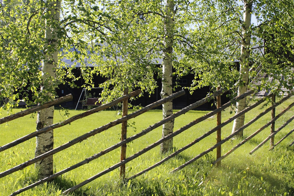 brown wooden fence near green trees during daytime