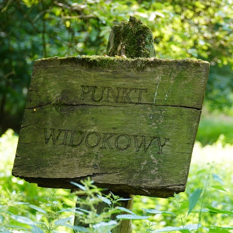 A close-up of a weathered wooden sign pointing toward a hidden Sasquatch lookout.