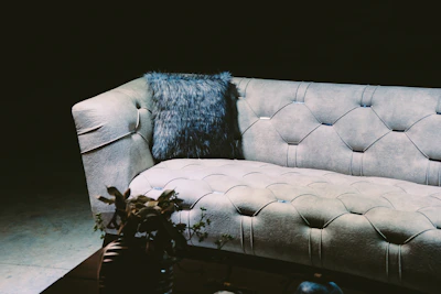 gray and white floral sofa