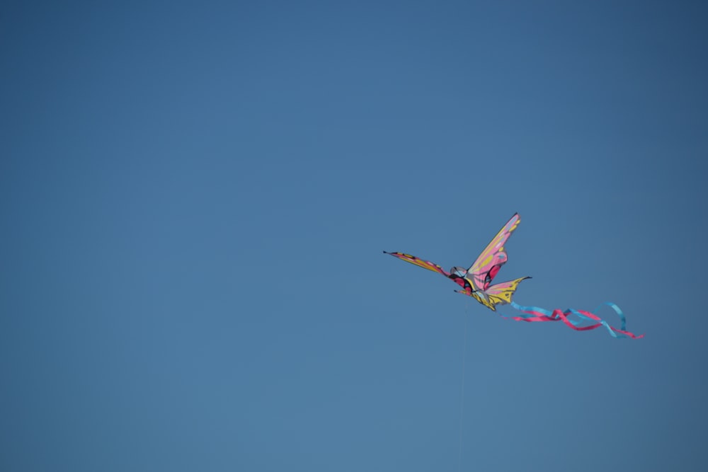 red and white bird flying under blue sky during daytime