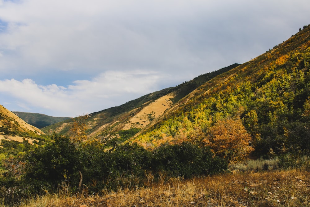 green and brown mountain under white clouds during daytime