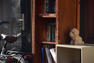 A wooden bookcase filled with various books stands next to a closed door with a metal handle. A bicycle is partially visible, leaning against the wall. On top of a shelf is a plush toy dog. Light and shadows create a warm atmosphere, with reflections from glass surfaces.