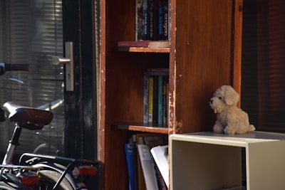 A wooden bookcase filled with various books stands next to a closed door with a metal handle. A bicycle is partially visible, leaning against the wall. On top of a shelf is a plush toy dog. Light and shadows create a warm atmosphere, with reflections from glass surfaces.
