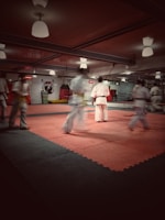 A martial arts dojo with several people practicing. The room is well-lit with ceiling lights and a soft red-pink mat covers the floor. Participants are dressed in traditional martial arts uniforms, focusing on their movements.