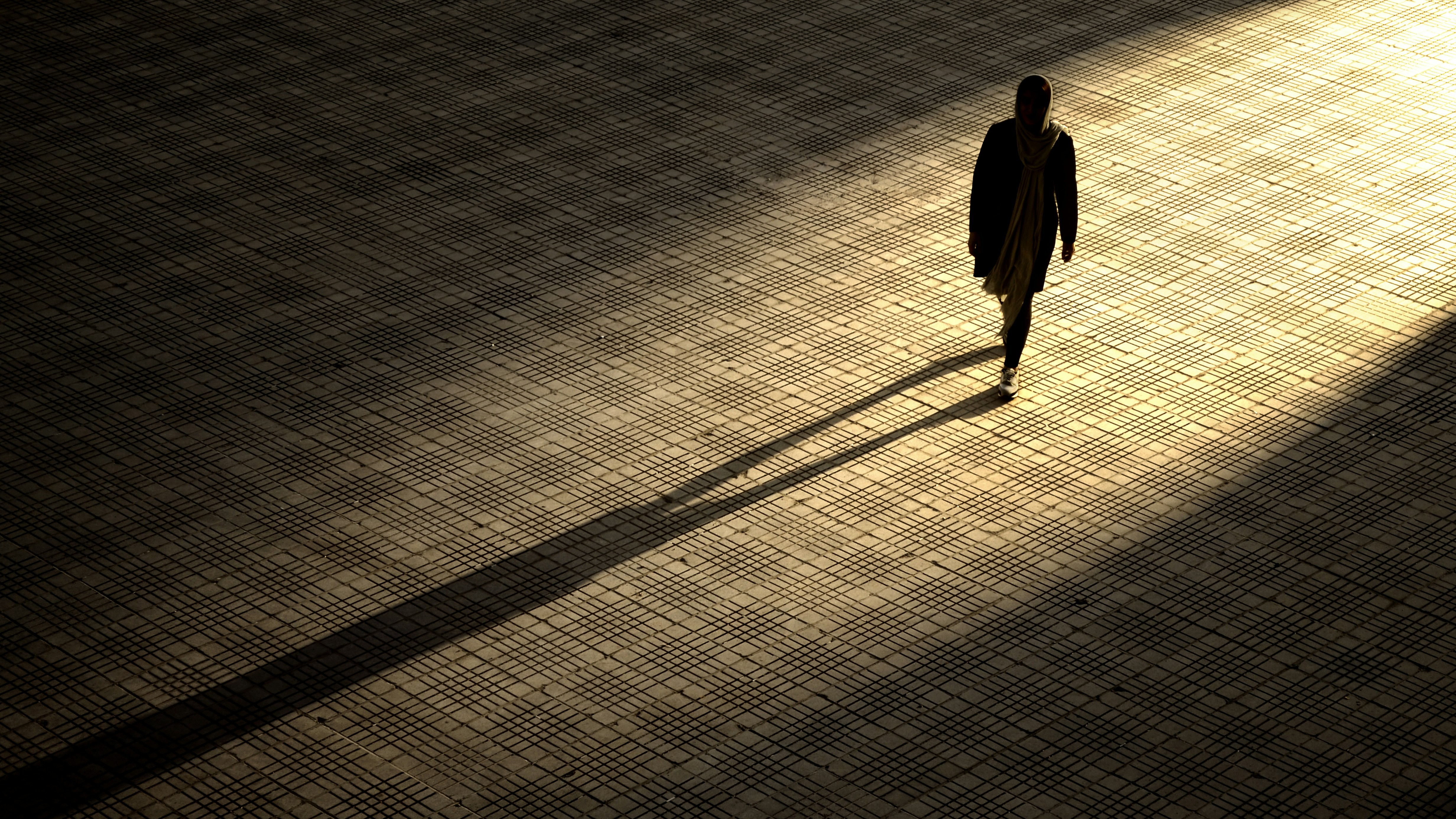 Photo by sammoghadam