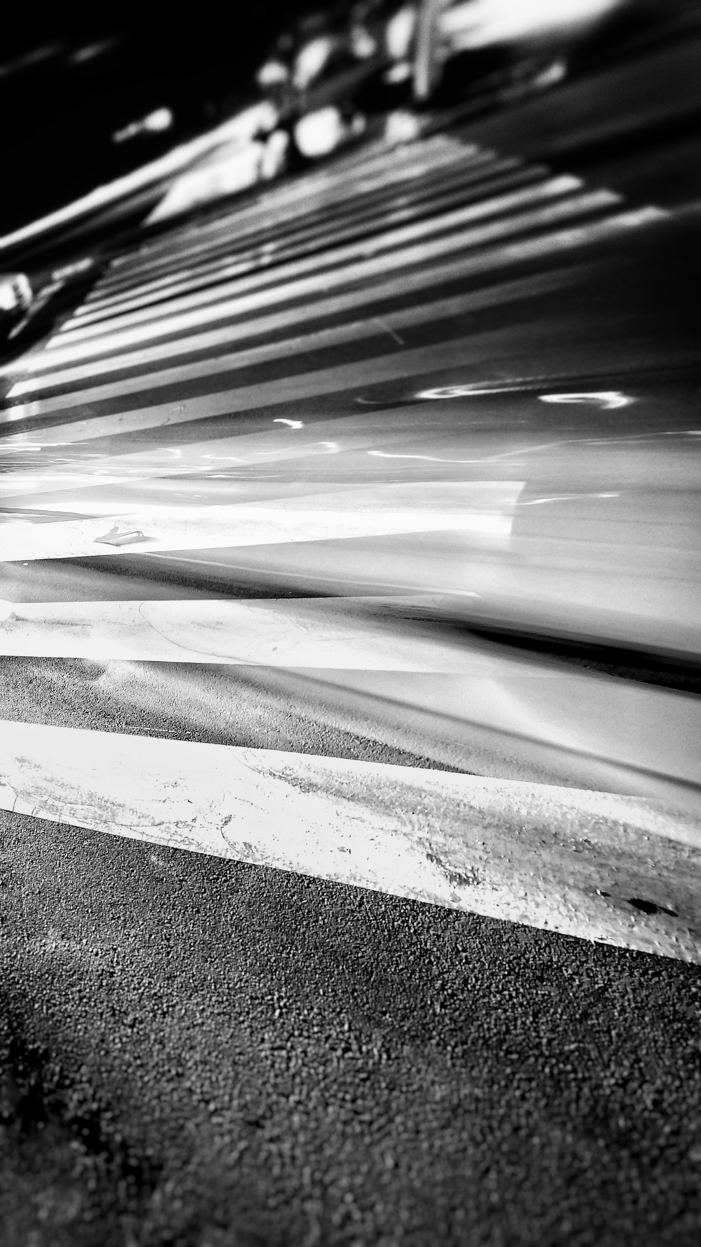 Photo by sammoghadam