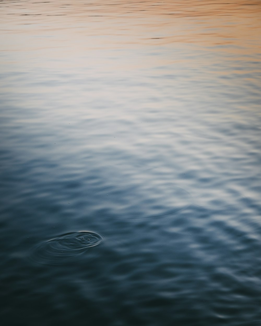 water drop on body of water