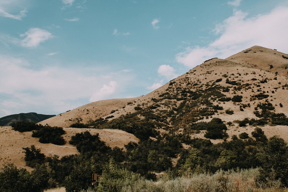 brown mountain under blue sky during daytime