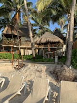 A tropical beach scene featuring several thatched huts surrounded by lush green palm trees. The sandy beach has multiple lounge chairs facing away from the ocean, suggesting a relaxing vacation spot.