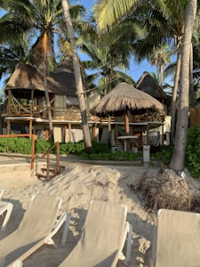 A tropical beach scene featuring several thatched huts surrounded by lush green palm trees. The sandy beach has multiple lounge chairs facing away from the ocean, suggesting a relaxing vacation spot.