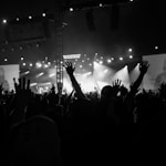 silhouette of people on concert