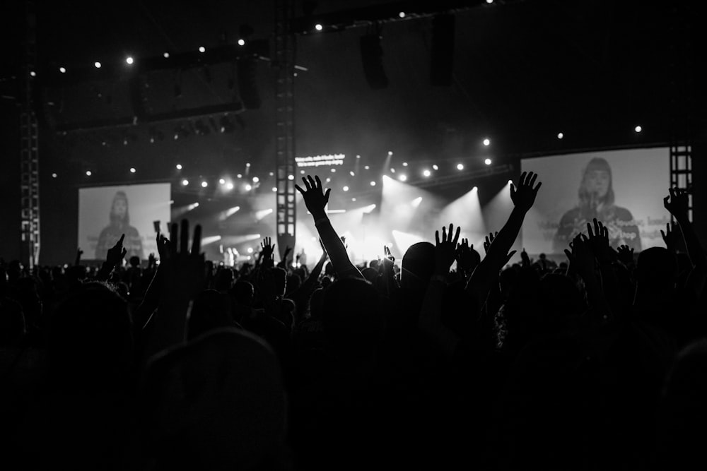 silhouette of people on concert