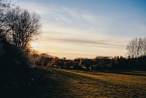 The image depicts a tranquil rural landscape at sunset with trees partially silhouetted against the sky. The grass is illuminated by the setting sun, casting long shadows. The sky has a gradient of colors from blue at the top to a warm orange-yellow near the horizon.