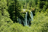 The lush greenery and cascading water of Curug Cipurut waterfall surrounded by forest