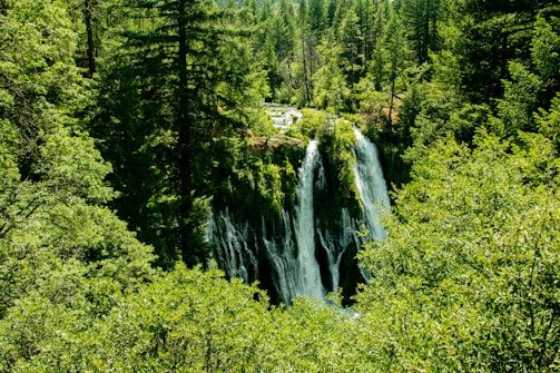 A lush rainforest with a waterfall, perfect for nature tours.