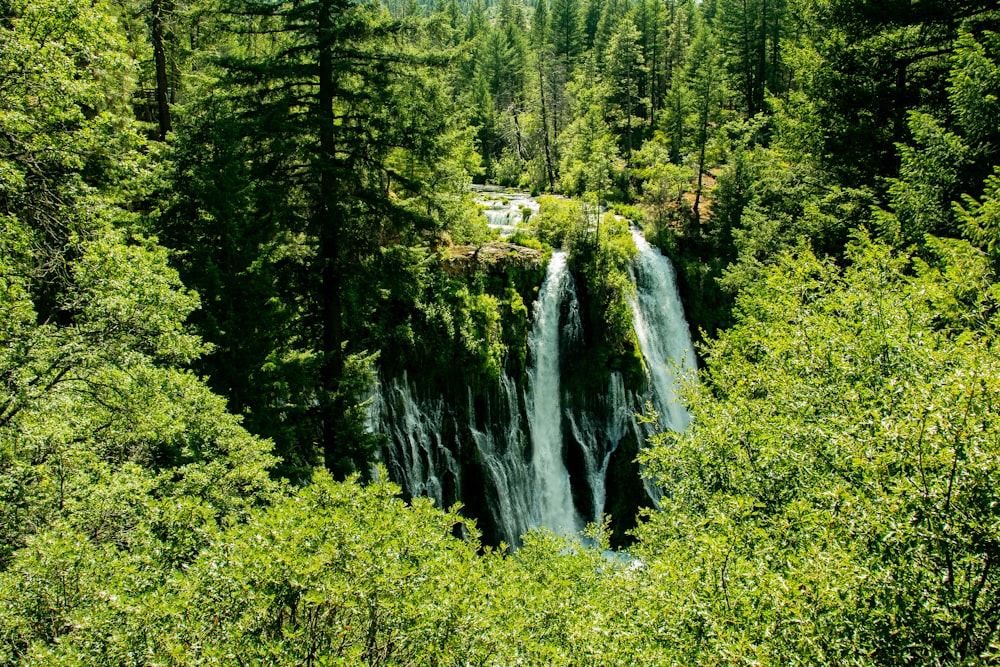 green trees near waterfalls during daytime