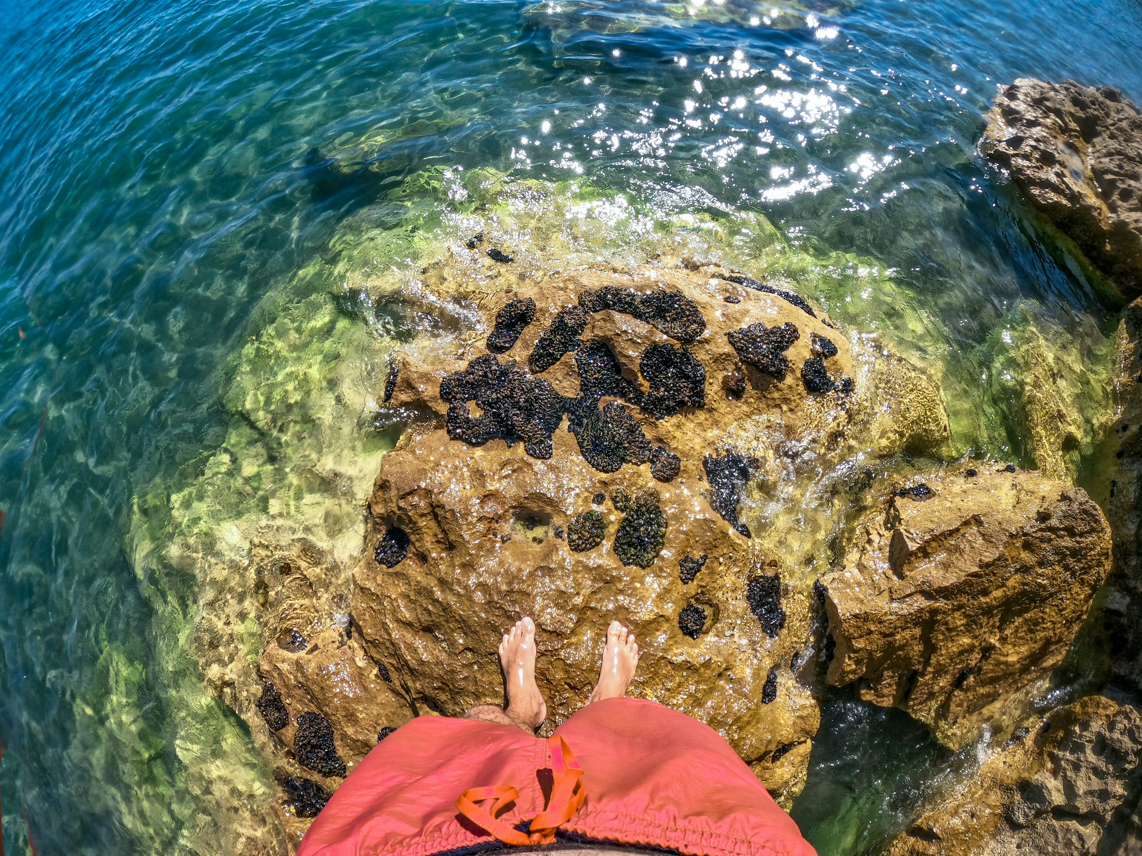 Photo by alberthyseni