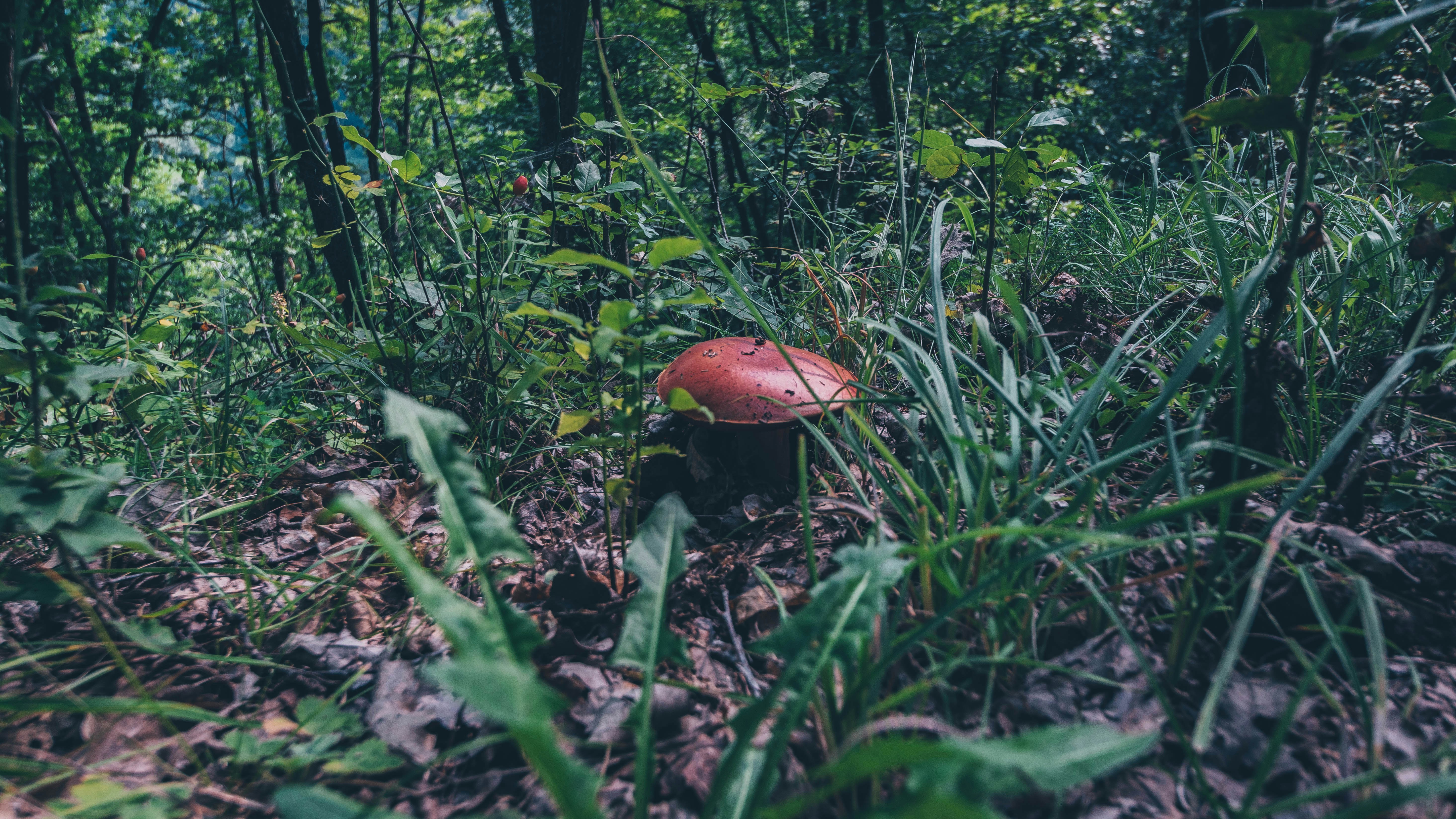 Photo by milica_spasojevic