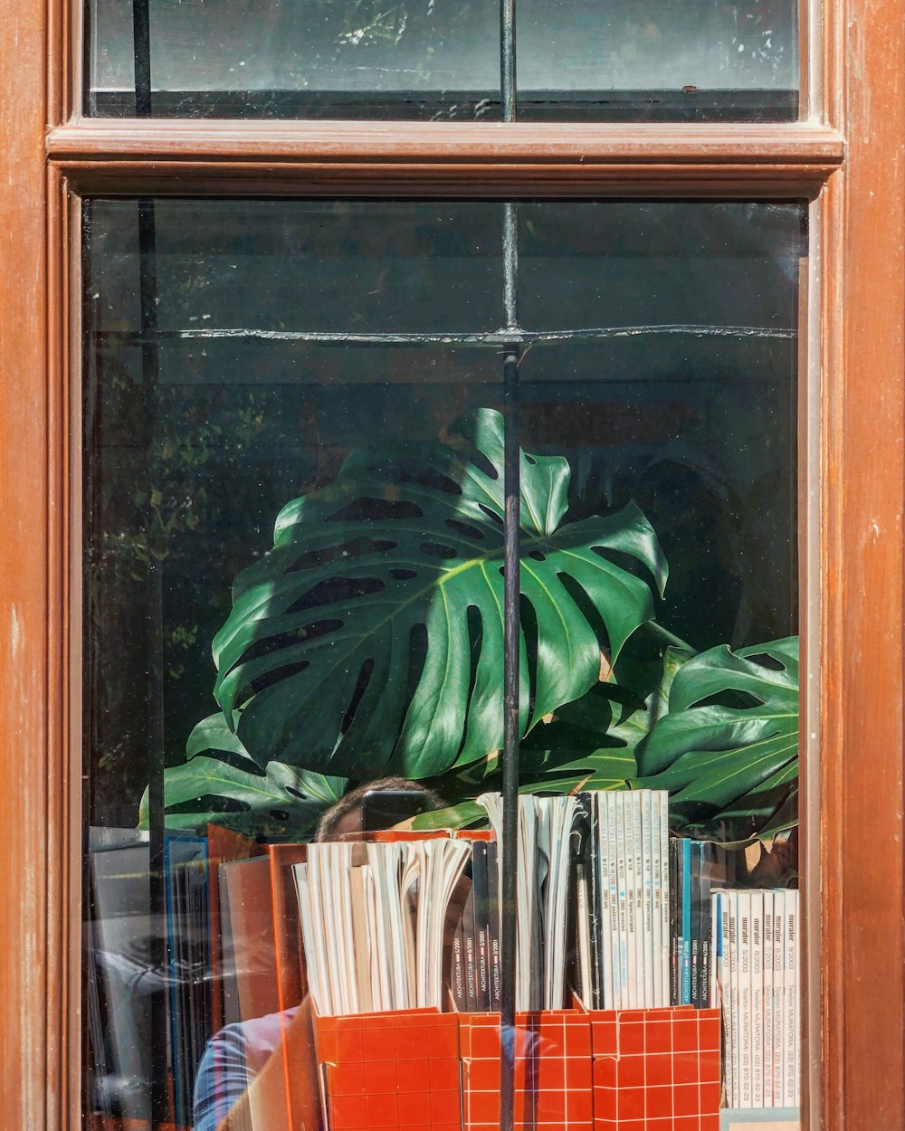 green banana plant on brown wooden table