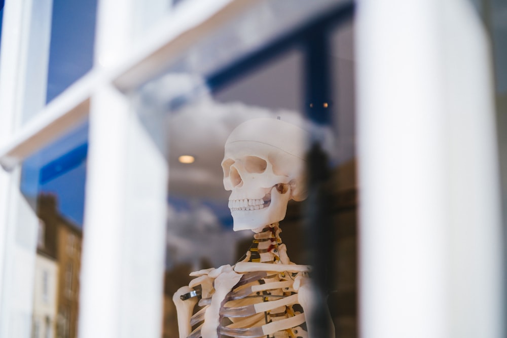 white skeleton figurine in tilt shift lens