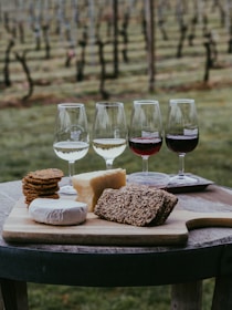 A wooden table holds a selection of cheeses and crackers on a cutting board, accompanied by four glasses filled with different types of wine. In the background, rows of grapevines stretch across a vineyard, indicating a serene, rural setting.
