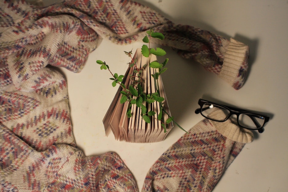 A cozy scene of a person reading a sprout and leaf activity book surrounded by green plants and soft natural light.