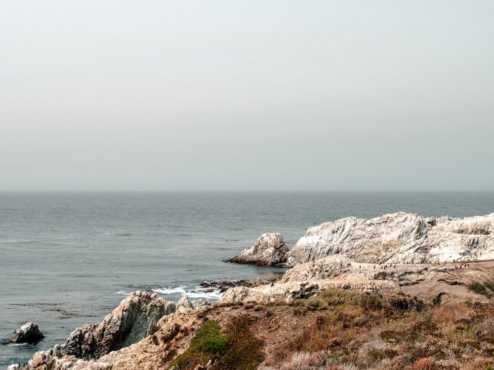 brown rocky shore near body of water during daytime