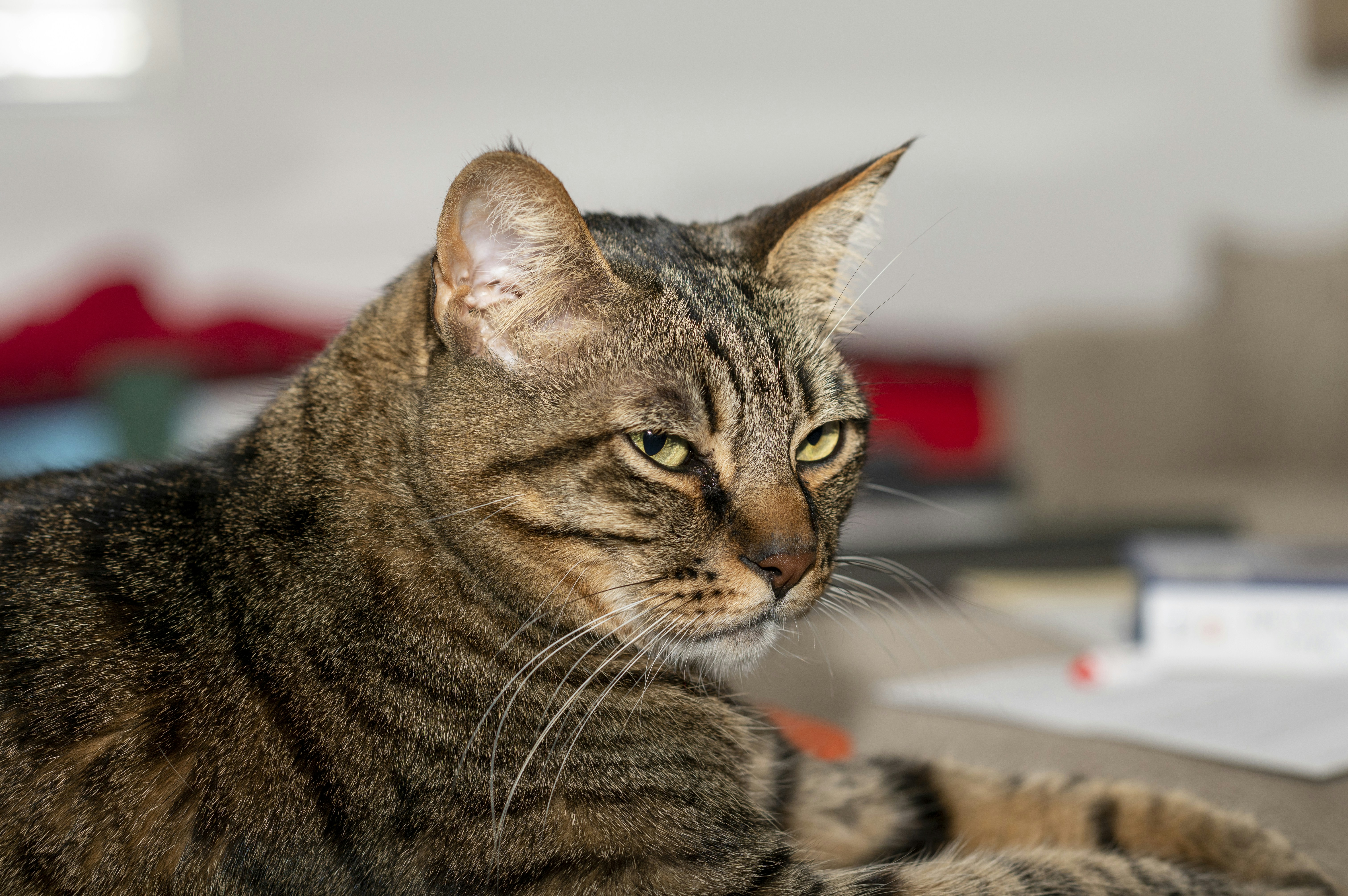 Photo by mitchellmds