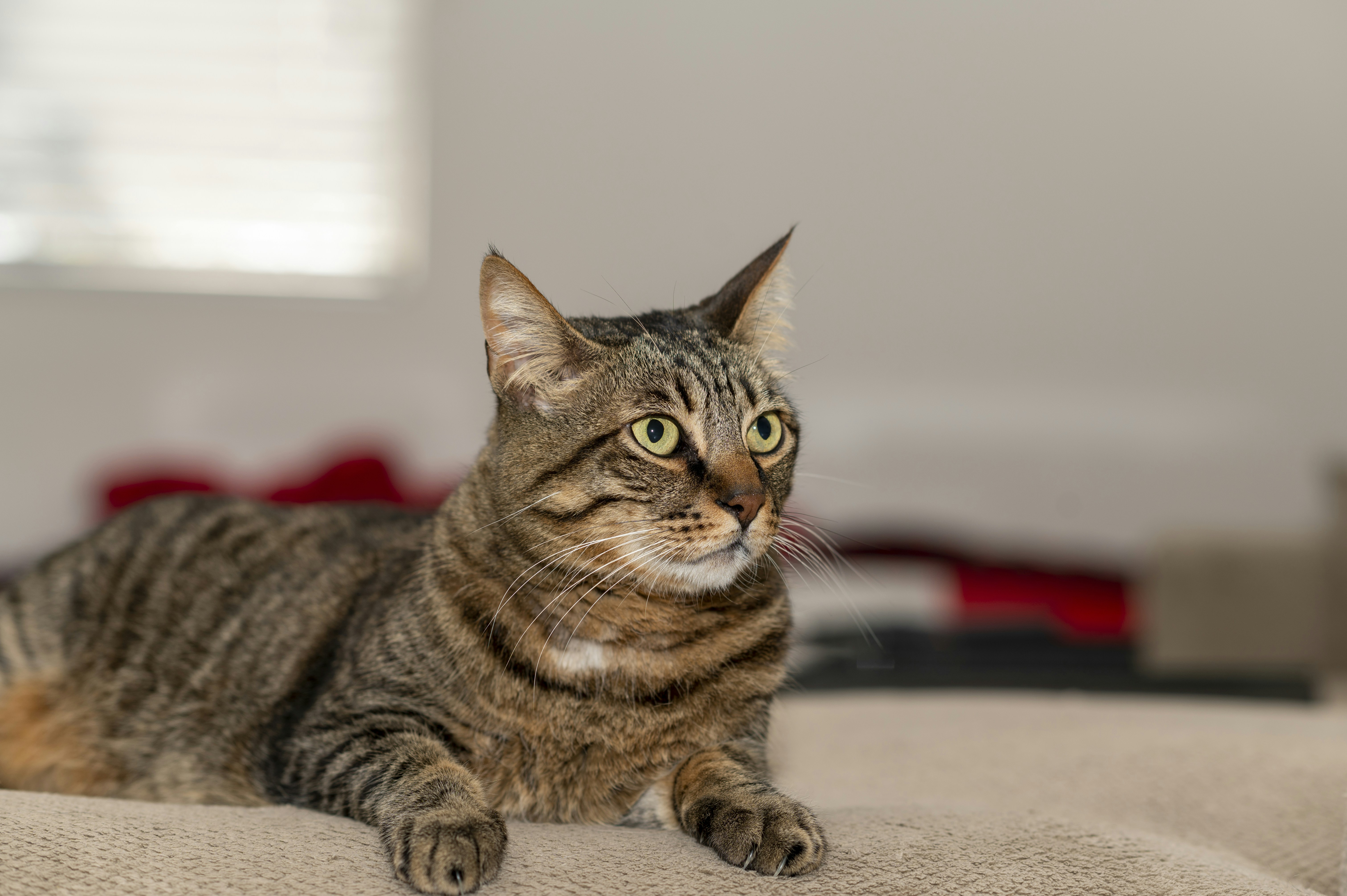 Photo by mitchellmds