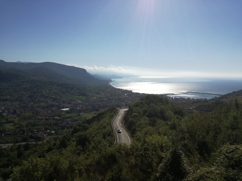 aerial view of green trees and body of water during daytime