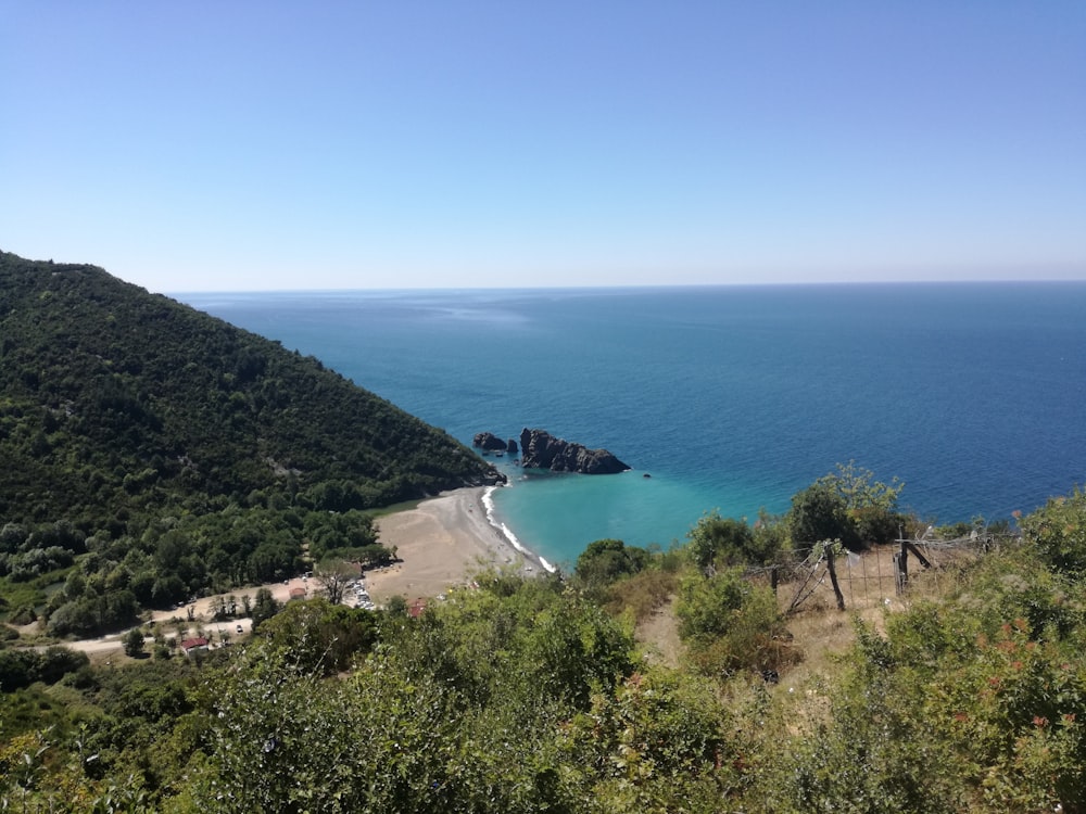 green trees near blue sea under blue sky during daytime