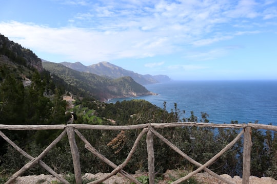 brown wooden fence on green grass field near body of water during daytime in Banyalbufar Spain