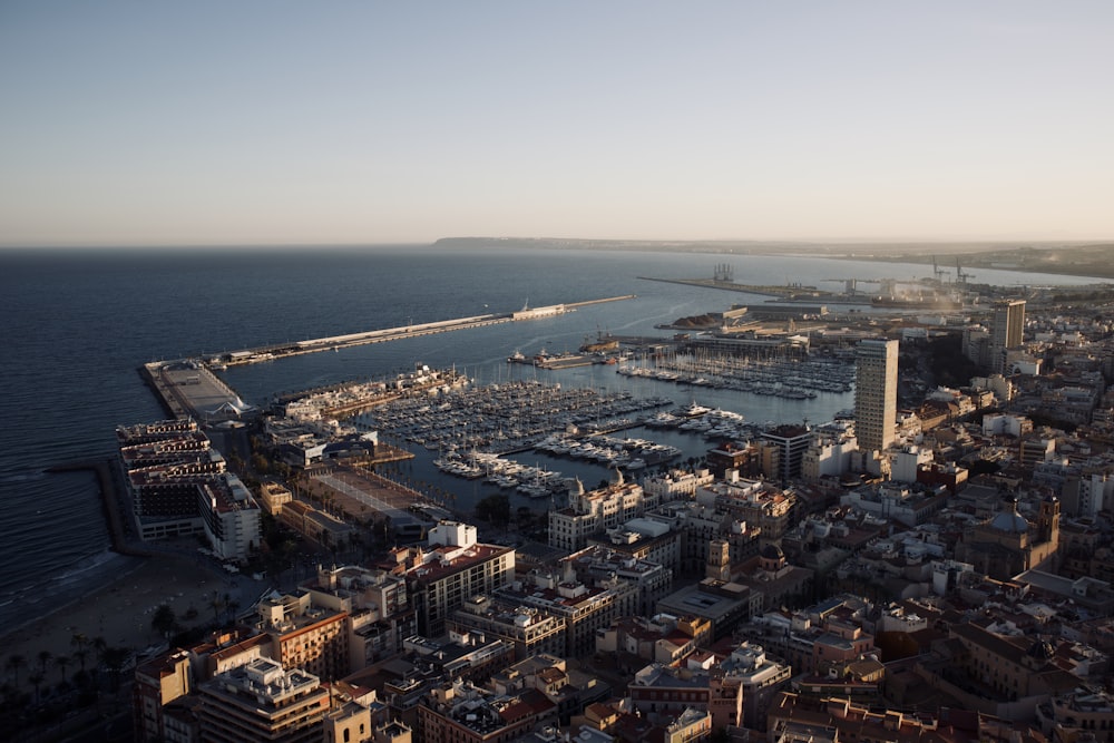 aerial view of city buildings during daytime