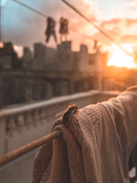 Close-up of a peaceful guest resting inside a softly lit bee-themed cabin with honey-gold accents.