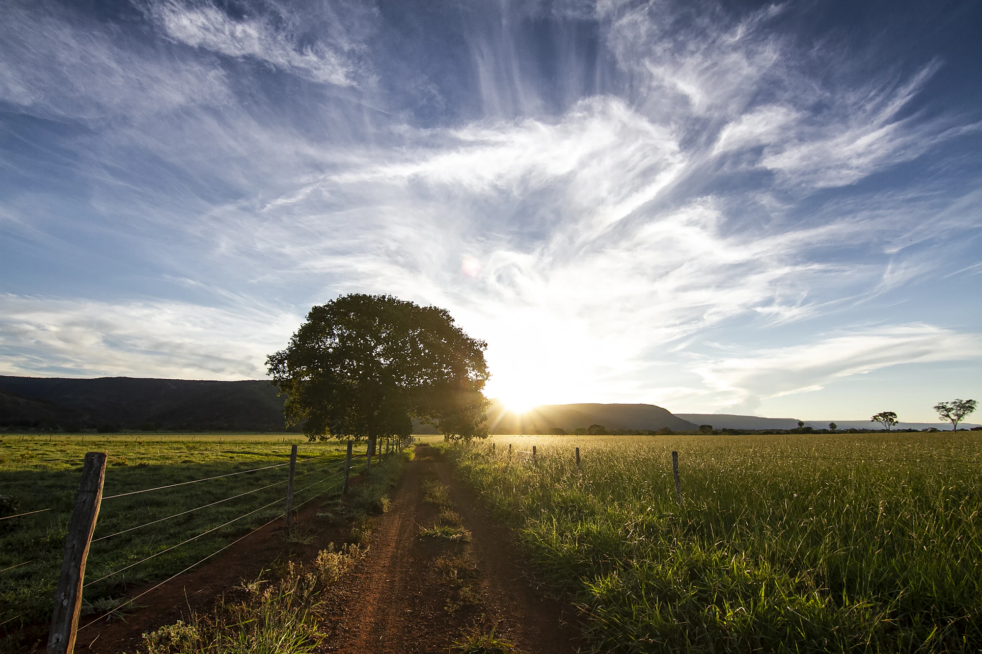 Estrada de fazenda ao pôr do sol, em Goiás