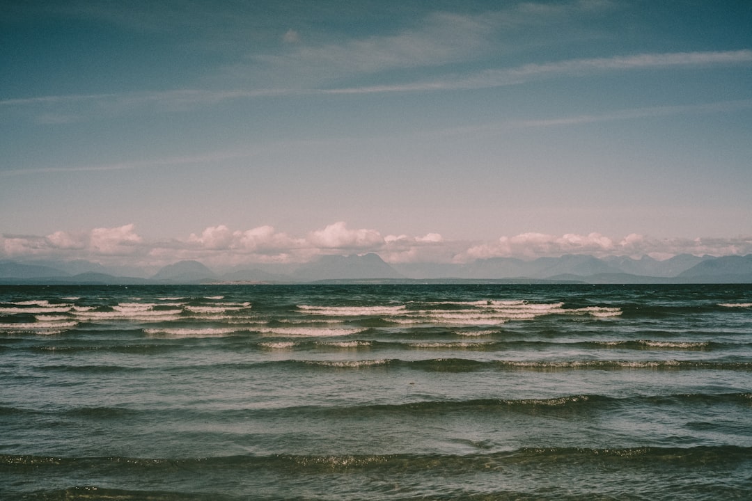 photo of Vancouver Island Shore near Great Central Lake